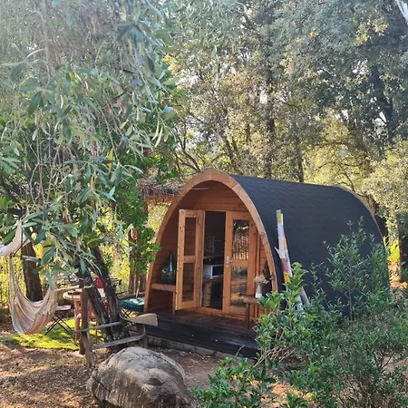 Lodge Atypique Le Pod Au Coeur Du Maquis Carbuccia
