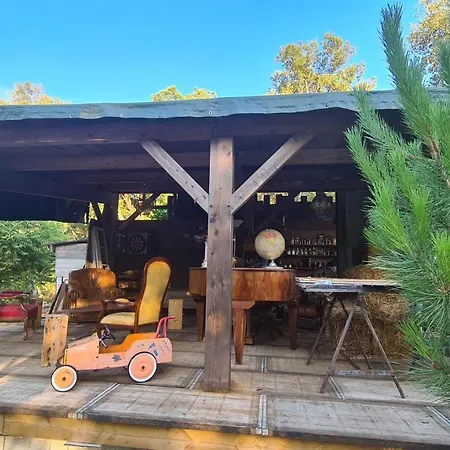 Atypique Le Pod Au Coeur Du Maquis Carbuccia