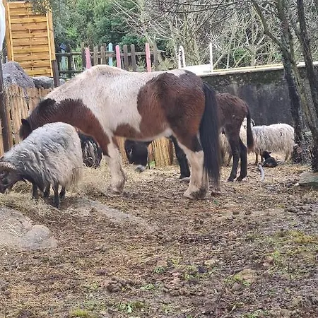 Atypique Le Pod Au Coeur Du Maquis * Carbuccia