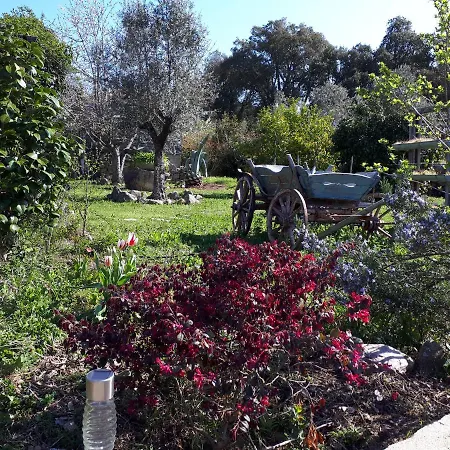 Atypique Le Pod Au Coeur Du Maquis Domek letniskowy