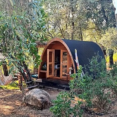 Lodge Atypique Le Pod Au Coeur Du Maquis