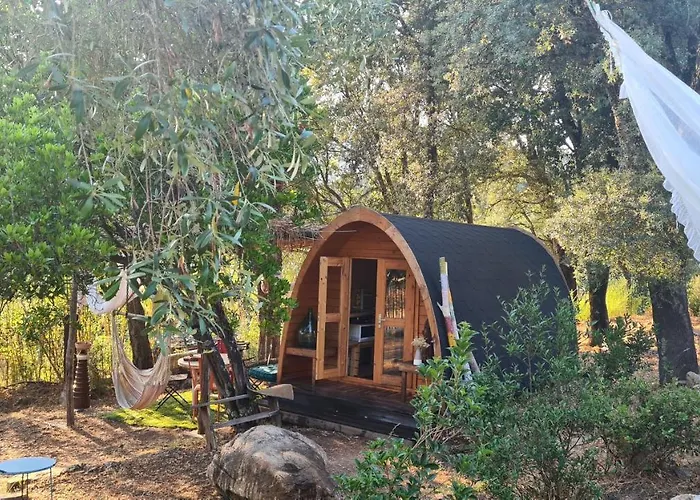 Lodge Atypique Le Pod Au Coeur Du Maquis Carbuccia