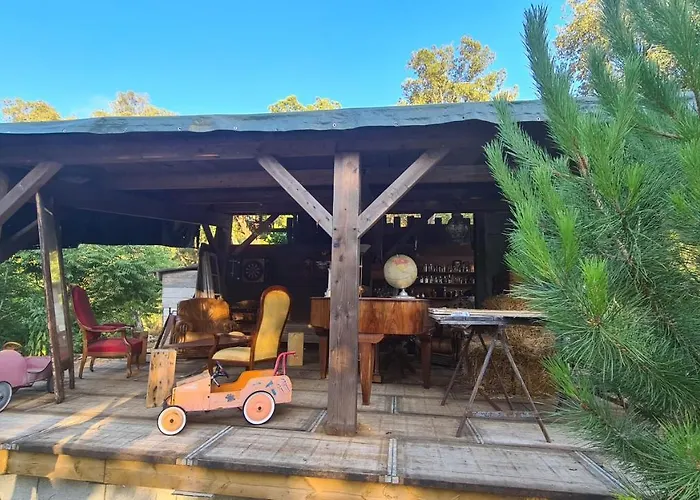 Atypique Le Pod Au Coeur Du Maquis Carbuccia