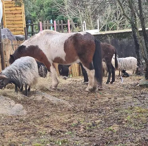 Atypique Le Pod Au Coeur Du Maquis * Carbuccia