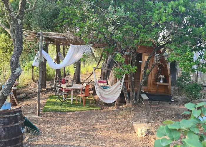 Atypique Le Pod Au Coeur Du Maquis * Carbuccia